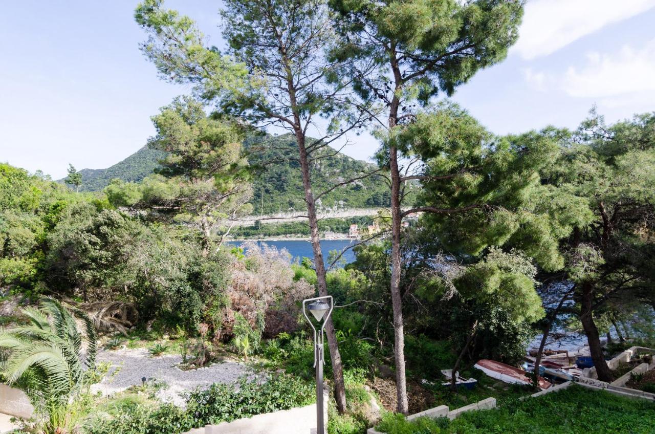 Apartments Vinko Sobra Rom bilde