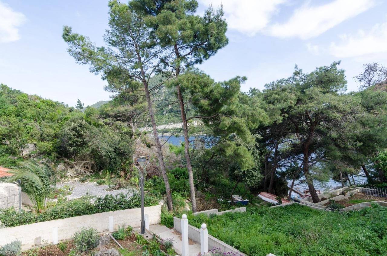 Apartments Vinko Sobra Rom bilde